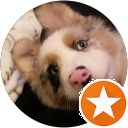 Walter G profile picture