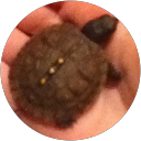 Camille profile picture