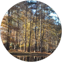 Hector M profile picture