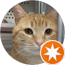 DXENO XTREME profile picture