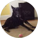 Will B profile picture