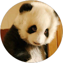 Liam Xie profile picture